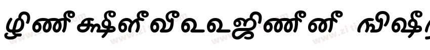 NarkissTam Bold字体转换